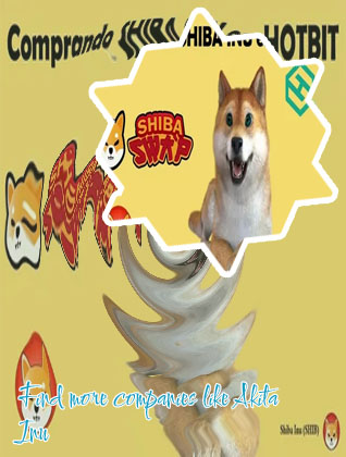 Akita inu crypto