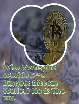 Biggest bitcoin holders