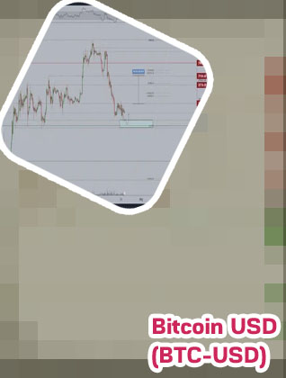 Bit coin worth