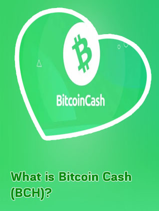 Bitcoin cash chart